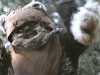 ewok.jpeg