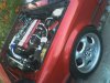 0420061850.jpg