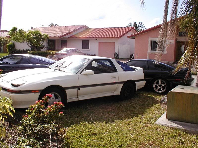 whitesupra01.jpg