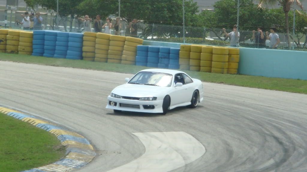 DSC02431.jpg