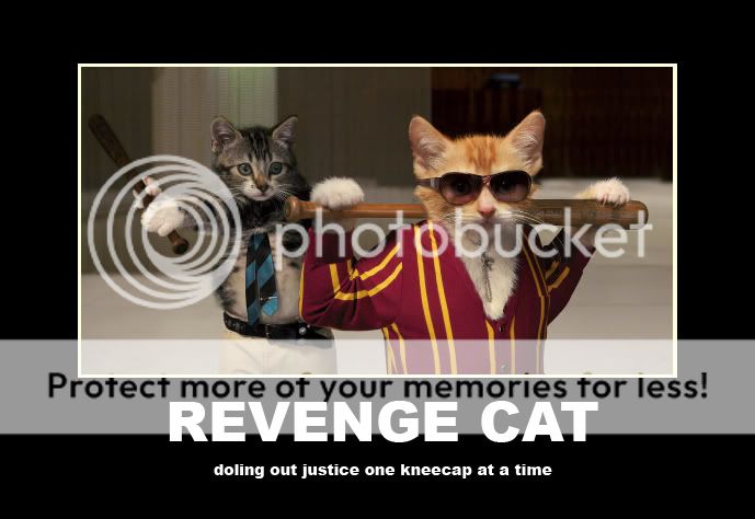 revengecat.jpg