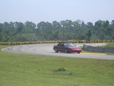 240shells025-1.jpg