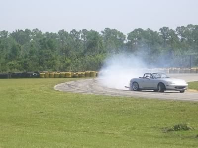240shells031-1.jpg