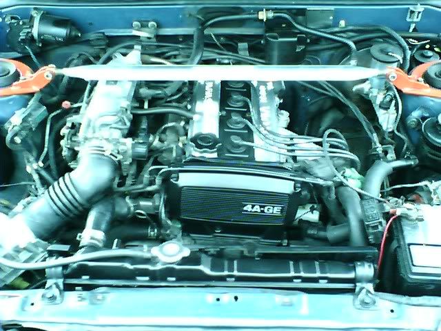 pic010207_1-1.jpg