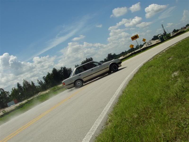 P1010032Medium.jpg