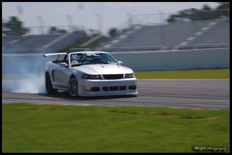 DSC_6255.jpg