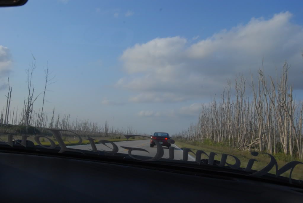 DSC_0036.jpg