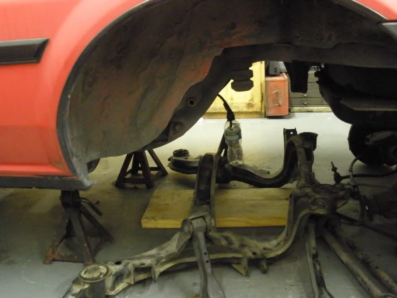 PA230961.jpg