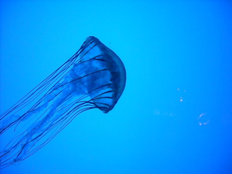 DSCN0782.jpg