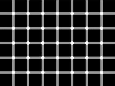 1_31_2006.gif