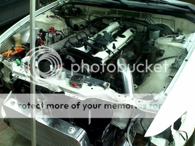 photo.jpg