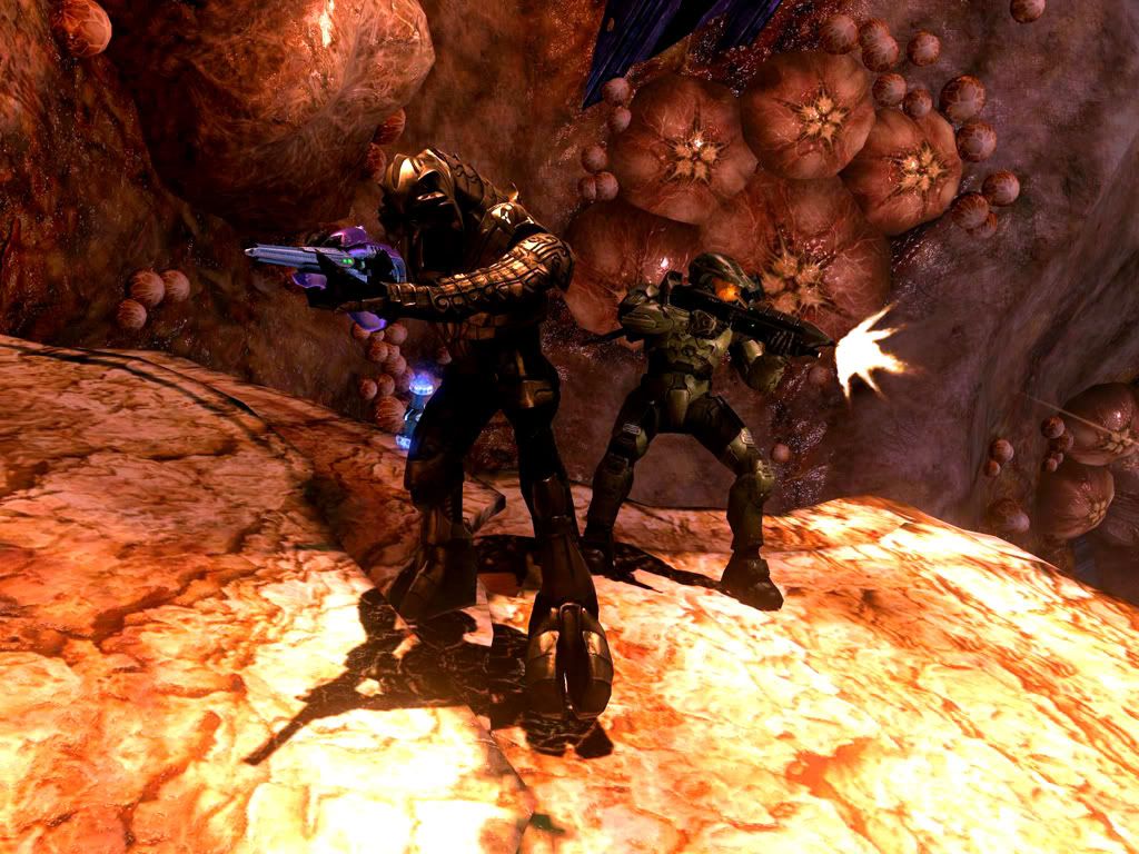 arbiter.jpg