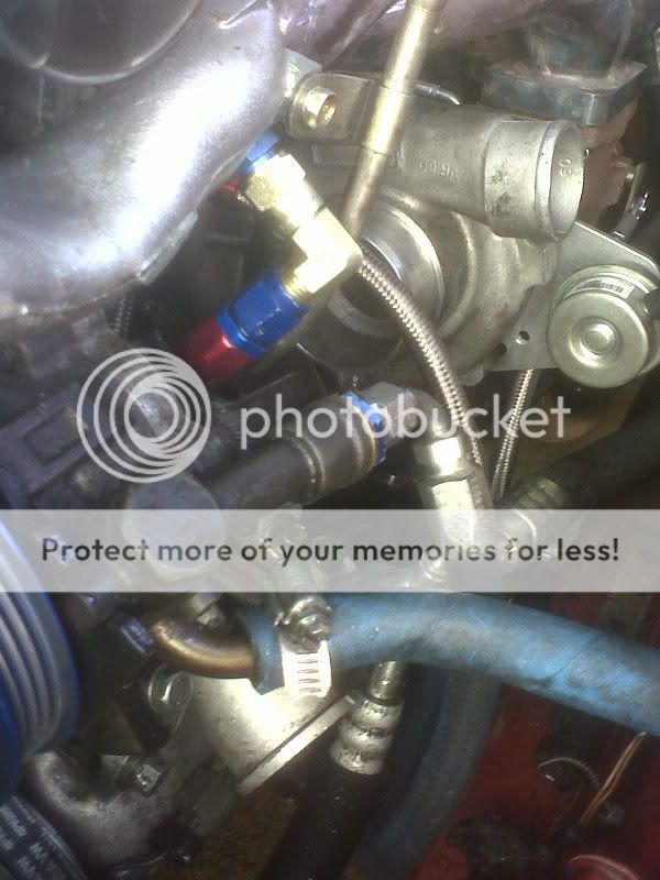 IMG00111-20110129-1346.jpg