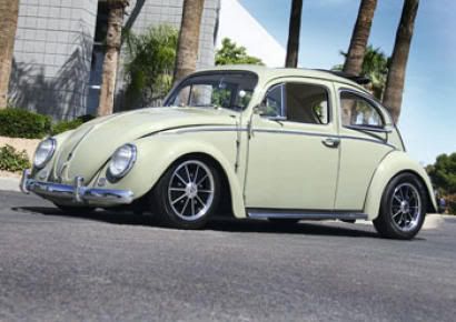 Cal-42_e_86fa130a0b19636c59d9e00f20.jpg