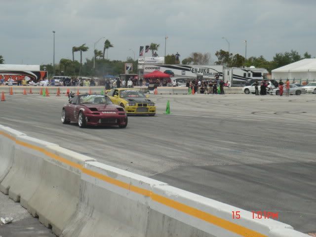 DSC01558.jpg
