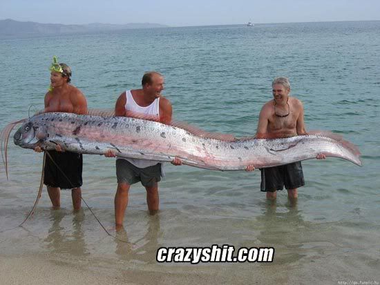 011109_large_eel_catch.jpg