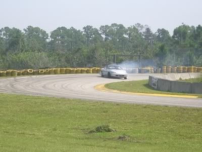 240shells028-1.jpg
