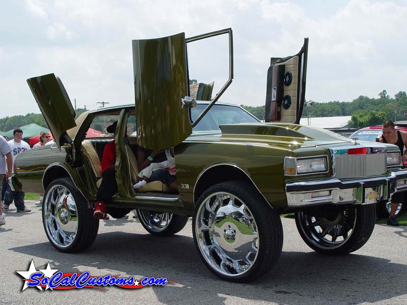 donk.jpg
