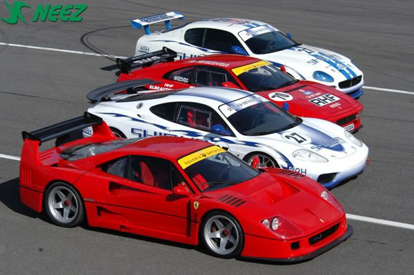 fcars_02.jpg