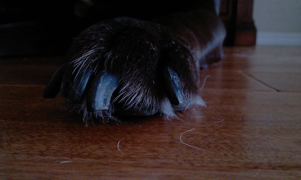 IMAG0011.jpg