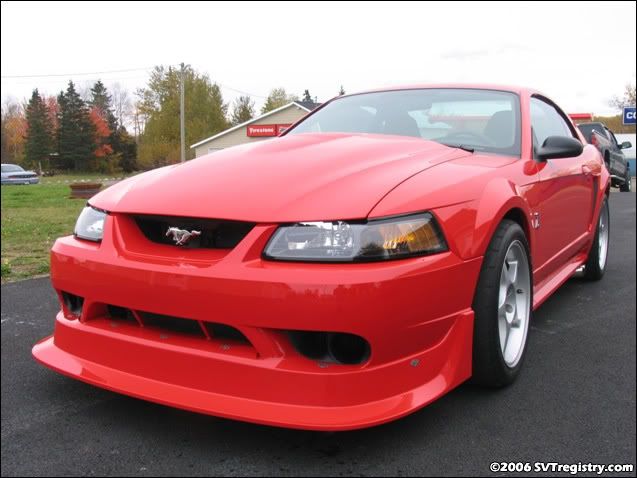 cobra1.jpg