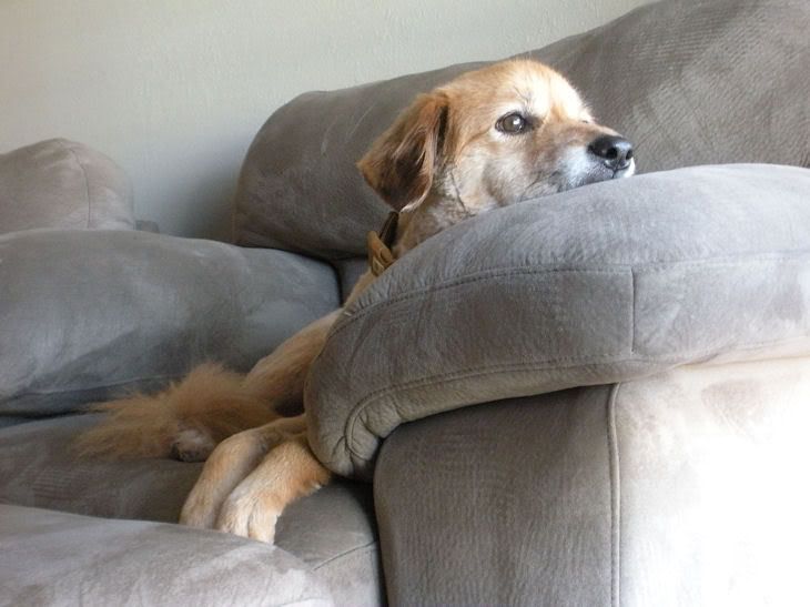 WaitingforPoppa.jpg