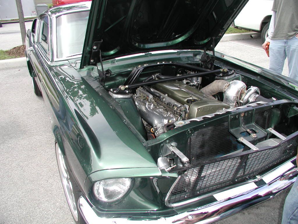 P1010040.jpg