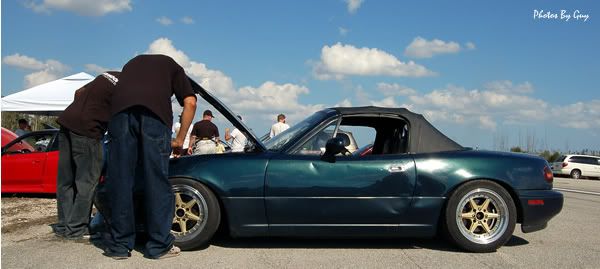 DSC_0344.jpg