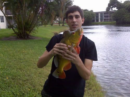 bass.jpg
