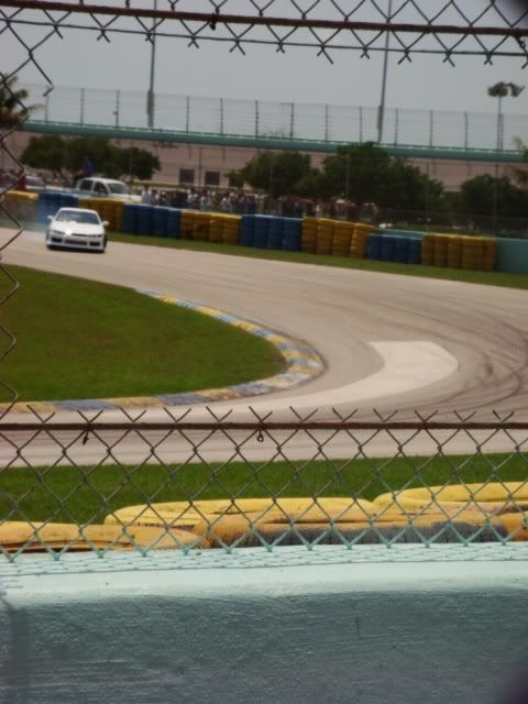 DSC02407.jpg