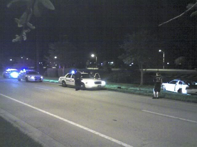 img382.jpg