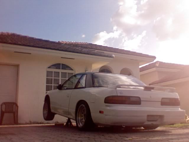 240.jpg