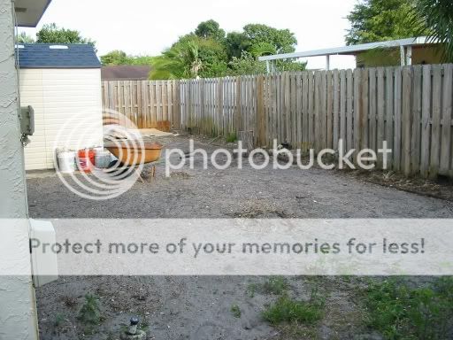 backyardgettingreaduforsod.jpg