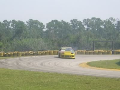 240shells019.jpg