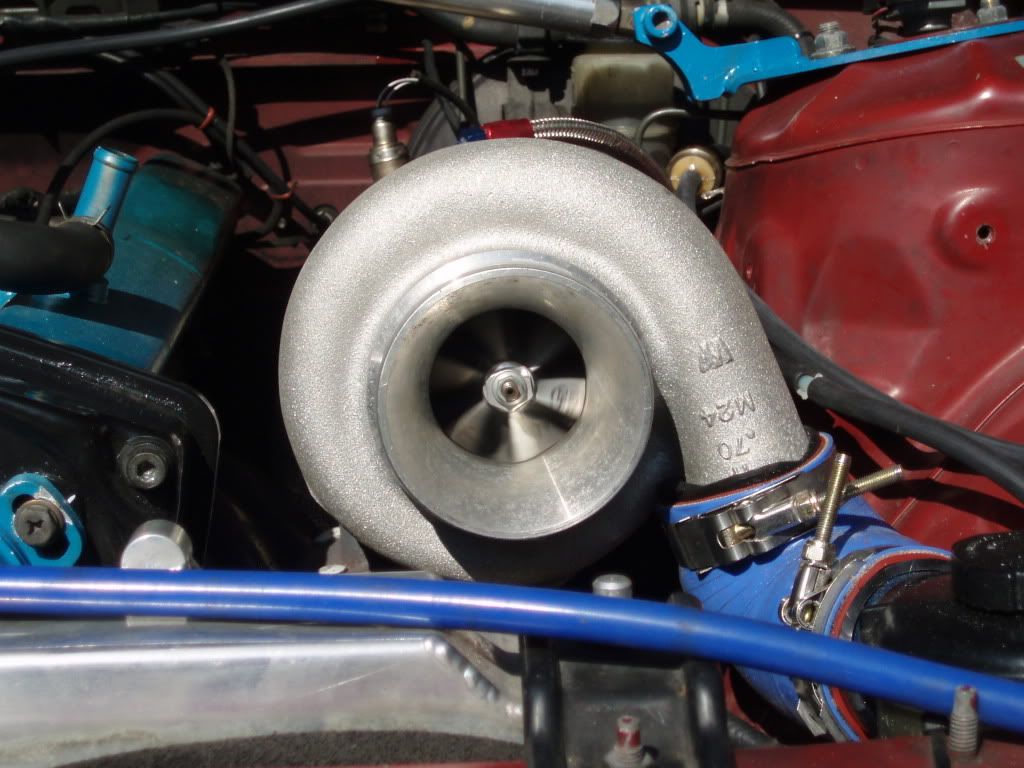PB100049.jpg