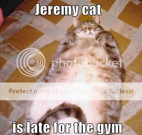 Jeremycatisl128405438738408961.jpg