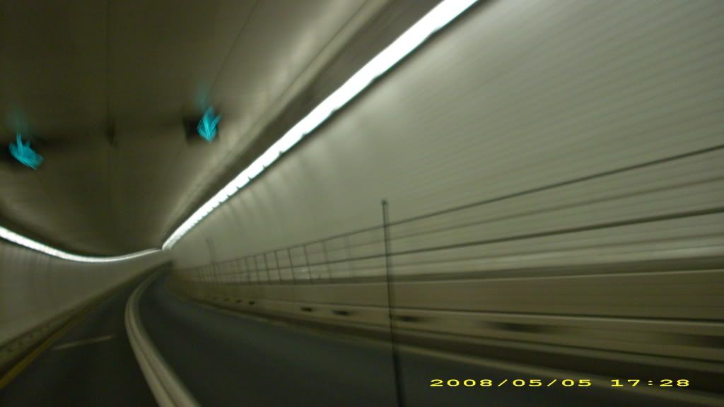 DSCI1002.jpg
