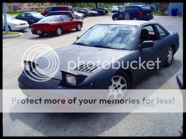 Picture373.jpg