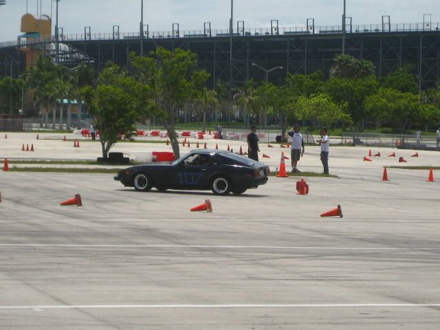 IMG_2599.jpg