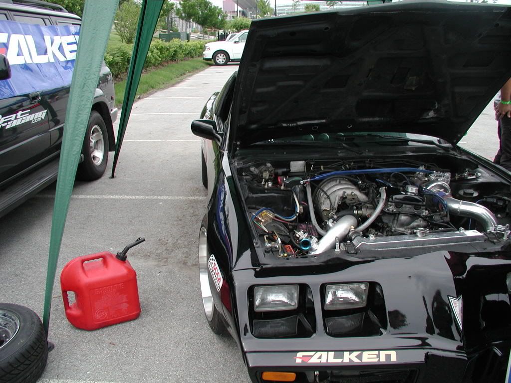 P1010051.jpg