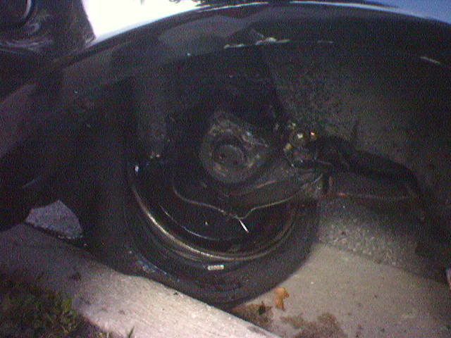 Photo186.jpg