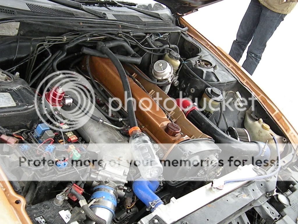 DSCN3885.jpg
