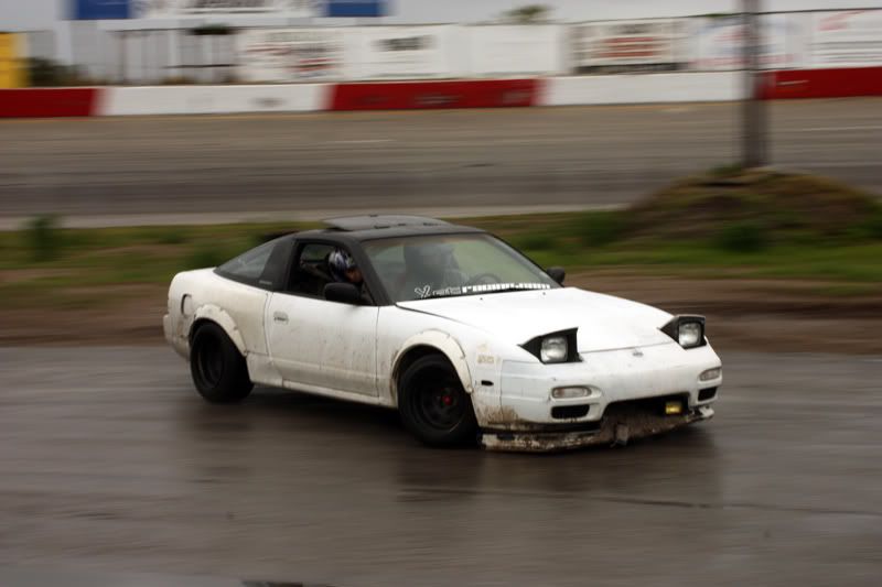 whitehatch1.jpg