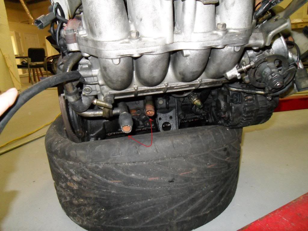 SDC10066.jpg