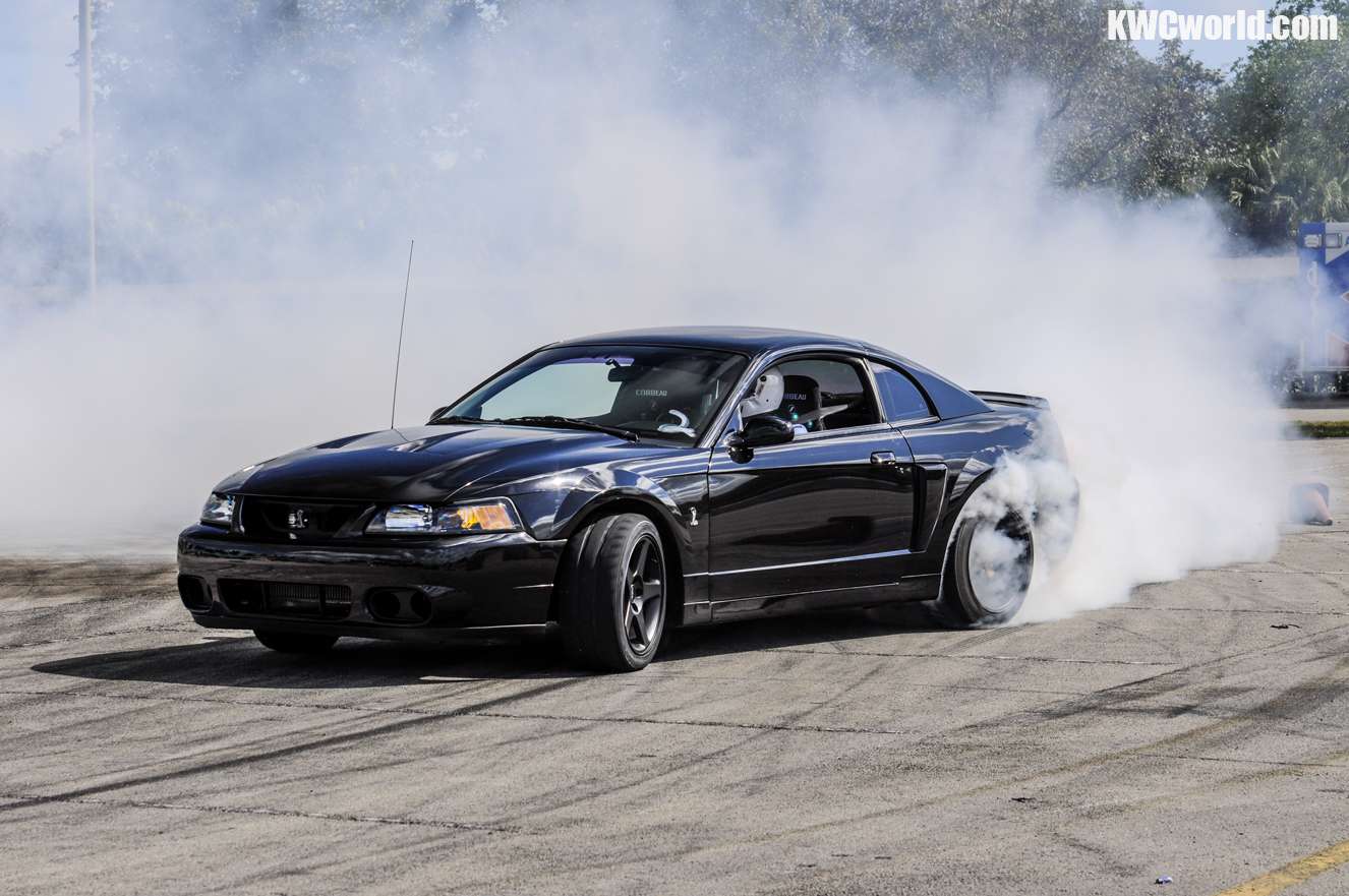 dsc7657r.jpg