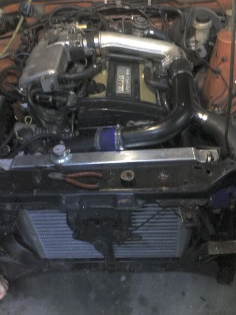 img393.jpg