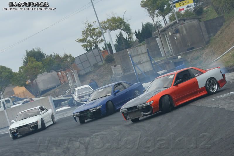 ratoapr_060.jpg
