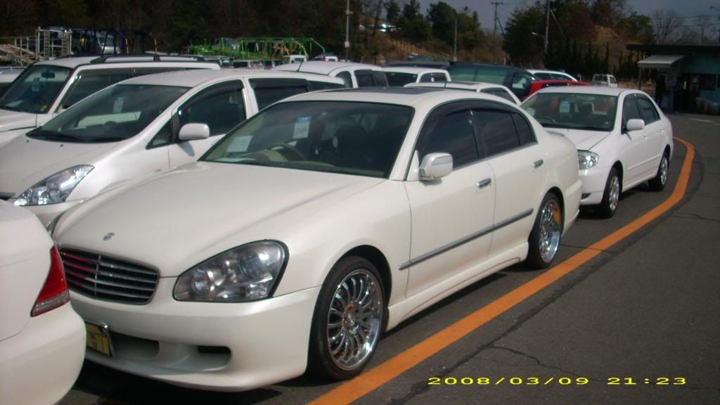 DSCI0337.jpg