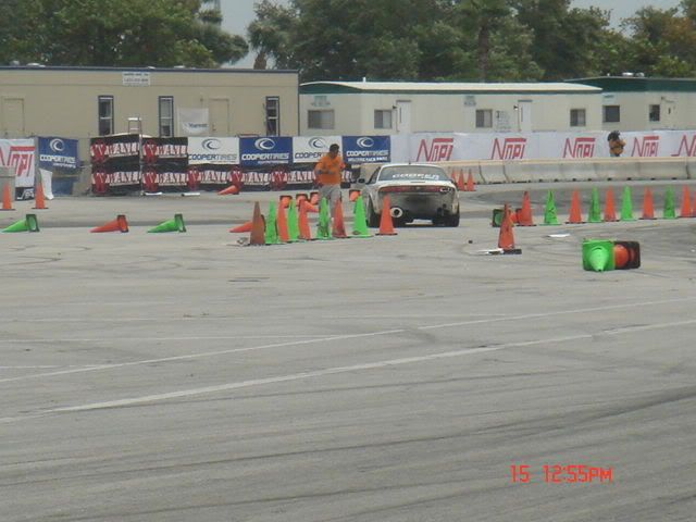 DSC01552.jpg