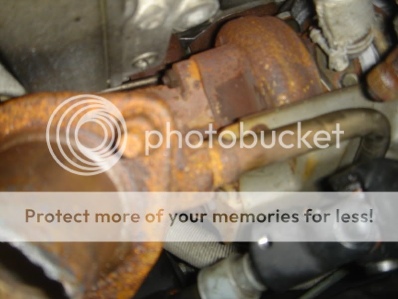sr20proj014.jpg